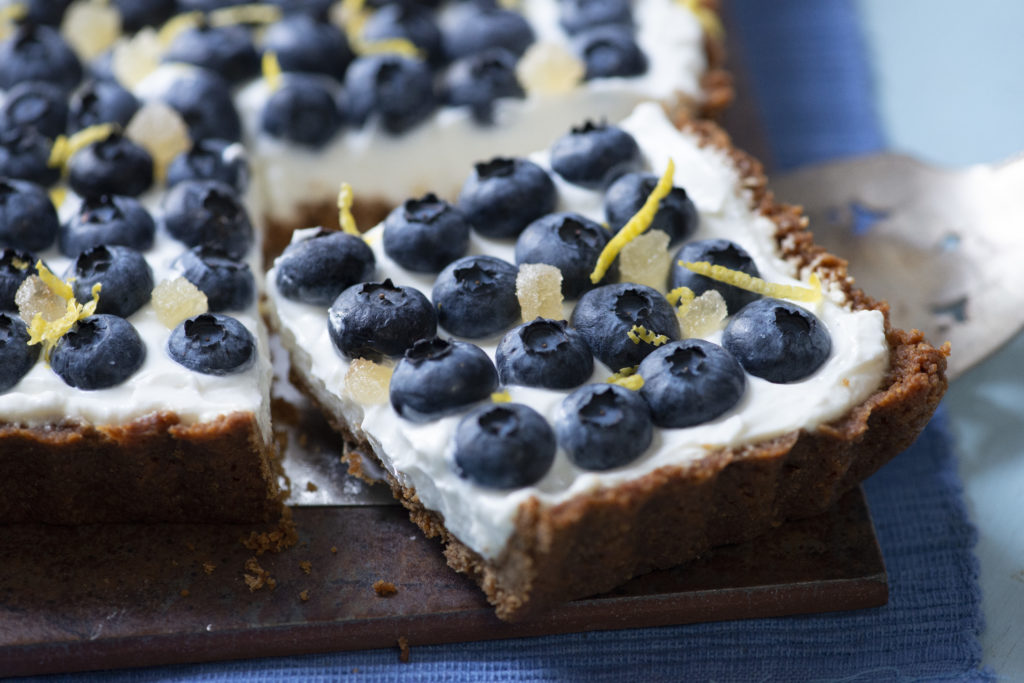 Blueberry Skyr by Rhonda Adkins