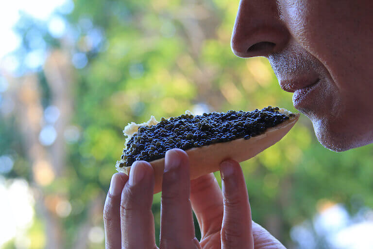 A person brings a piece of bread with a heaping amount of caviar to their mouth.