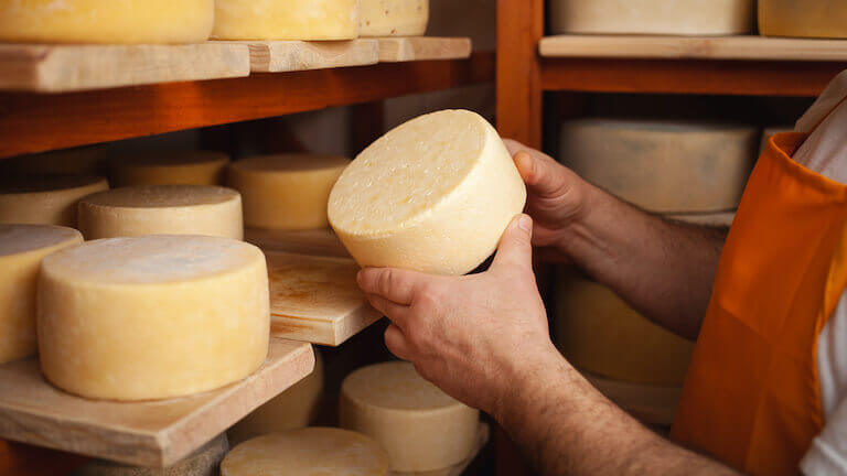 Person holding a wheel of cheddar cheese standing in front of wooden shelves full of cheese.