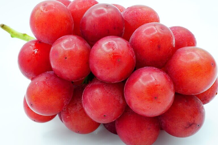 Closeup view of a bunch of Ruby Roman grapes.