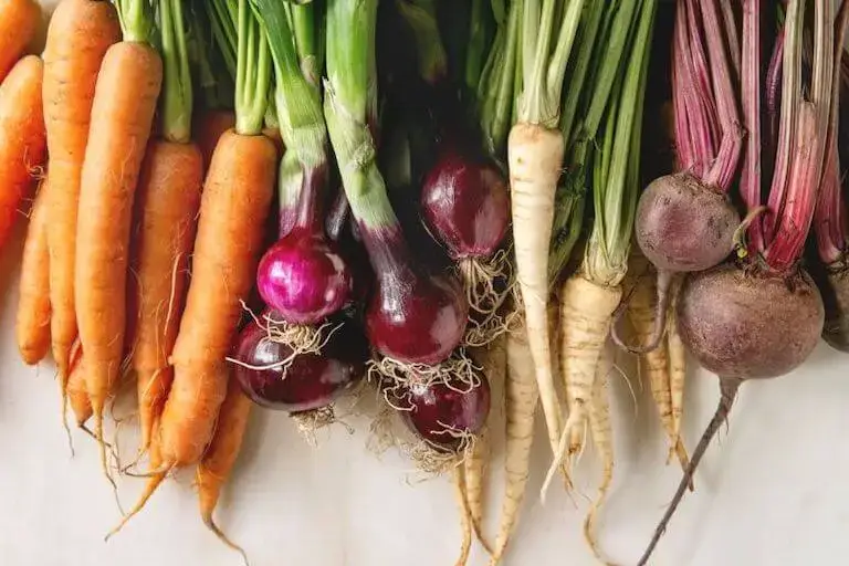 Close-up of freshly harvested carrots, red onions, parsnips, and beets with green tops still attached.