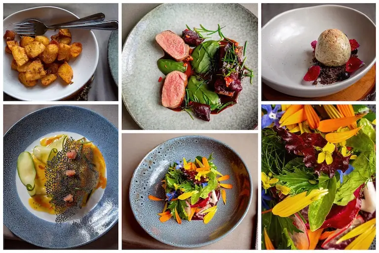 Collage of elegant plated dishes featuring colorful fine dining presentations, showcasing professional culinary plating skills.