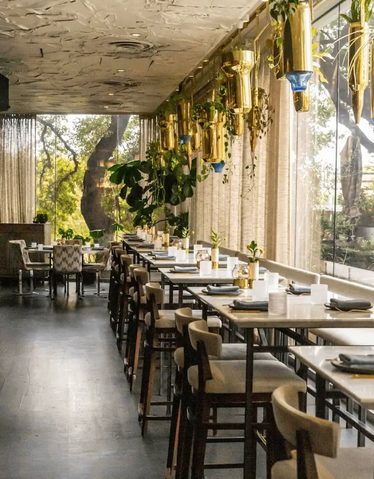 The interior of a sun-filled restaurant dining room, with hanging plants and large windows.